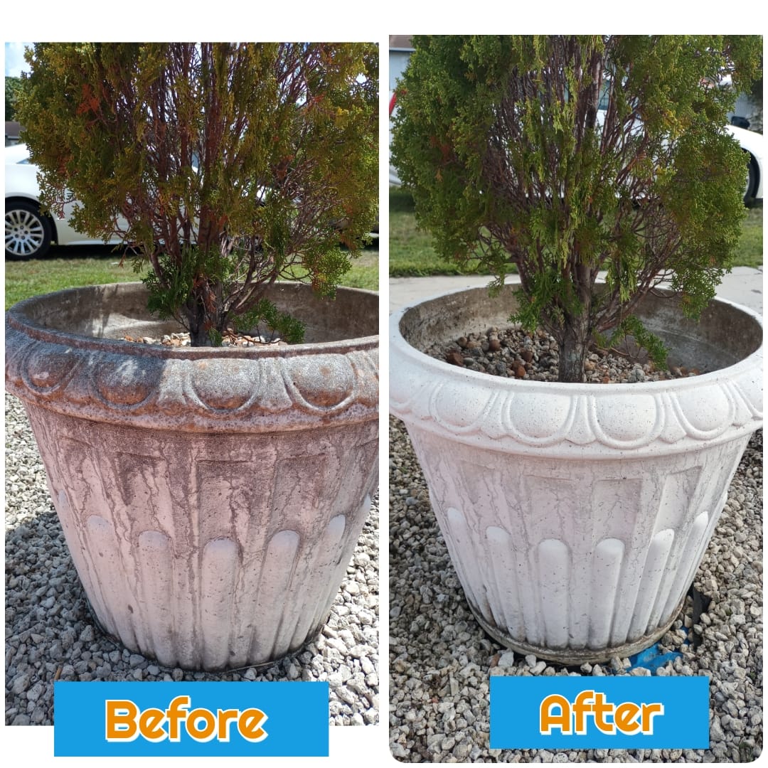 before after image of flower pot