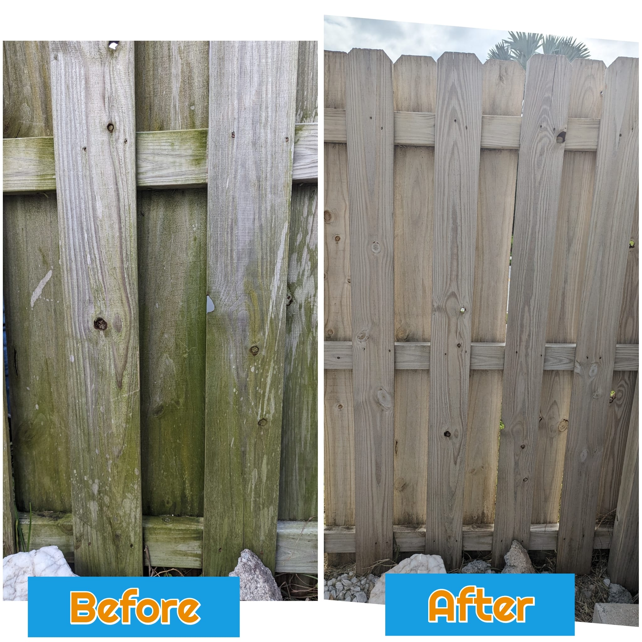 before after fence